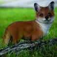 thumbnail image 2 of Hi-Line Gift Ltd Standing Fox, 9", 2 of 6