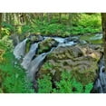 thumbnail image 3 of Johnson, George 24x19 Black Modern Framed Museum Art Print Titled - Port Angeles Falls I, 3 of 5