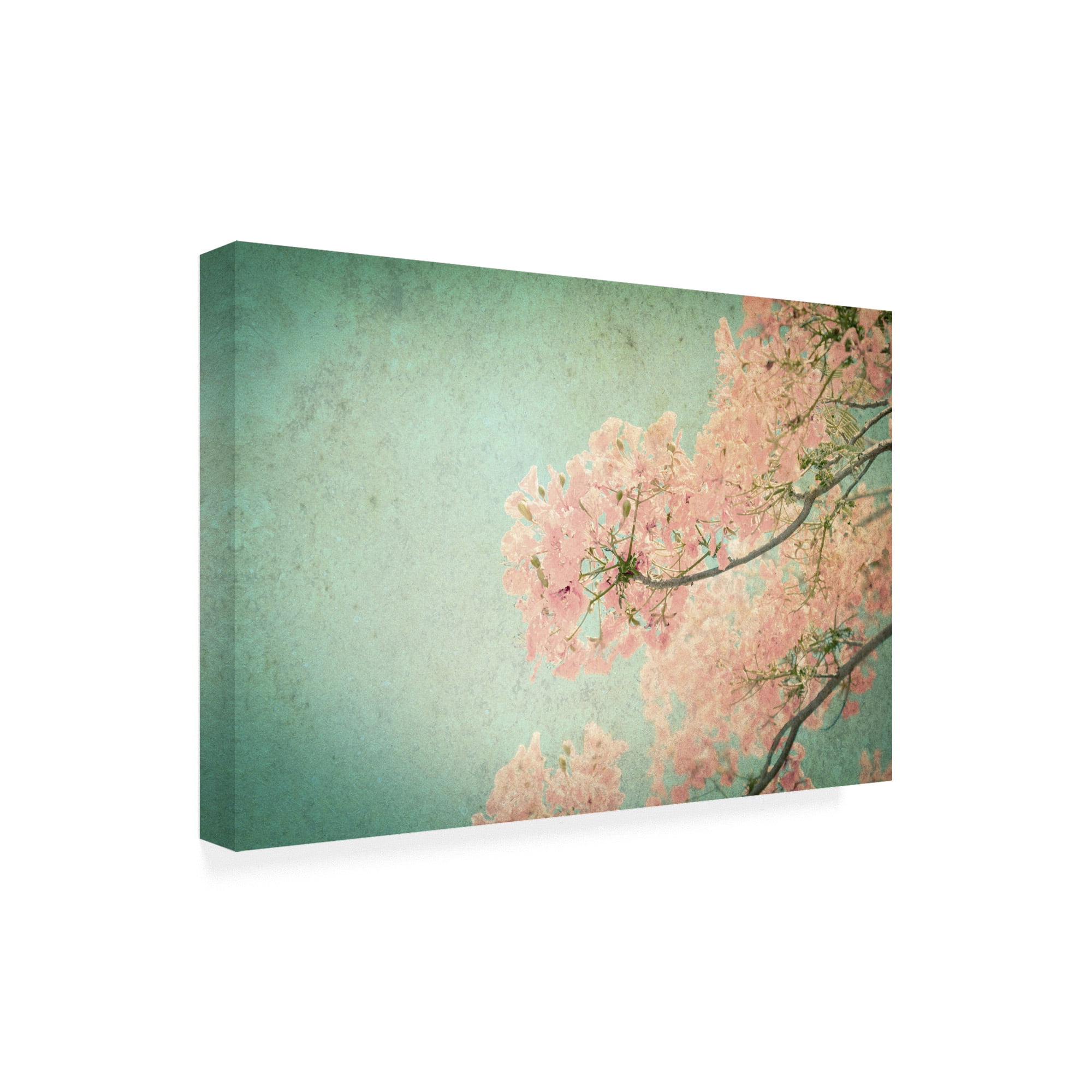 Trademark Fine Art 'Flamboyant II' Canvas Art by PhotoINC Studio