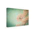 thumbnail image 2 of Trademark Fine Art 'Flamboyant II' Canvas Art by PhotoINC Studio, 2 of 3