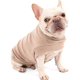 thumbnail image 1 of Chaleco tipo jersey de forro polar para perros y gatos, sudadera con capucha suave y cálida para invierno, ideal para perros pequeños y medianos, caniches, chihuahuas, bulldogs, esfinges y gatos (marr, 1 of 5