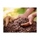 thumbnail image 2 of 1 Kg Café Gourmet Mexicano En Grano Blackmore Coffee, 2 of 3