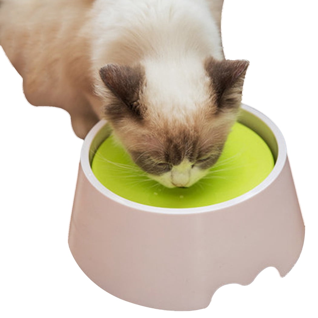 water bowl for cats that splash water