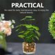thumbnail image 4 of Laklulu Plantas verdes artificiales en escritorio y frasco de vidrio transparente, 4 of 5
