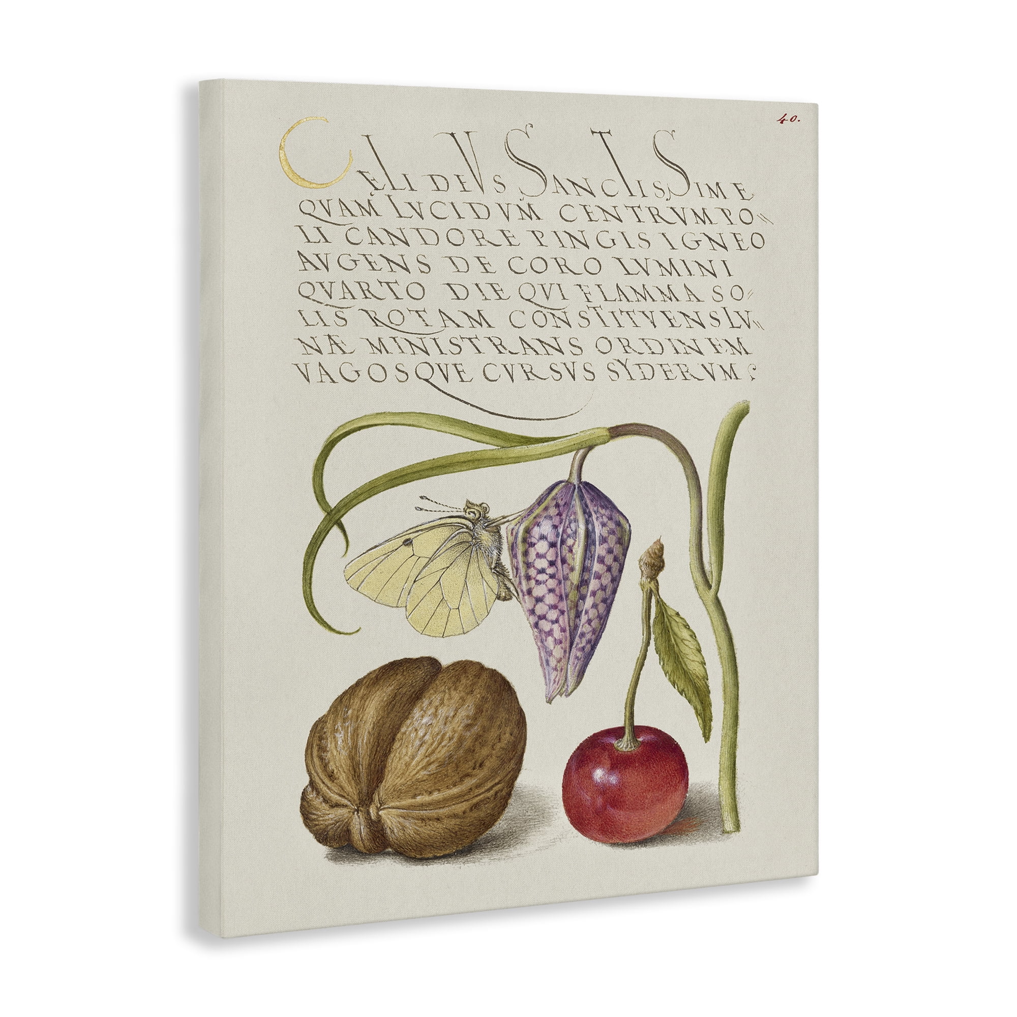 Stupell Industries Woodland Flora Study Text & Numbers Painting Wrapped Canvas Art Print Wall Art, 30 x 40