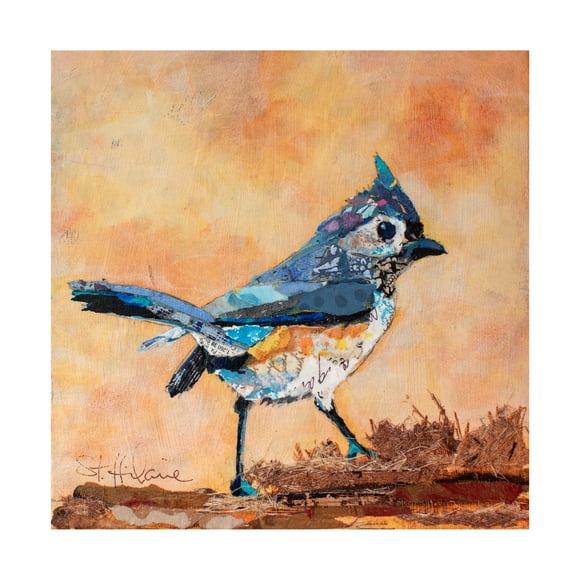 Elizabeth St Hilaire 'Tufted Titmouse' Canvas Art