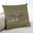 thumbnail image 1 of Ahgly Company Animals Zebra Indoor Throw Pillow, 18 inch by 18 inch, 1 of 6