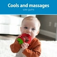 thumbnail image 6 of Dr. Brown's Aqua Cool Water-Filled Baby Teether, Cool Relief, BPA Free, Pineapple/Apple, 3m+, 2 Pack, 6 of 22