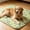 Green-GN Home Decor, variant on JJV Reusable Washable Dog Pee Pads Cute Paw Print Absorbent Puppy Training Mat Non- Waterproof Pet Bed Mat for Dogs Cats Green Dog Print Potty Pad Housewarming Gifts