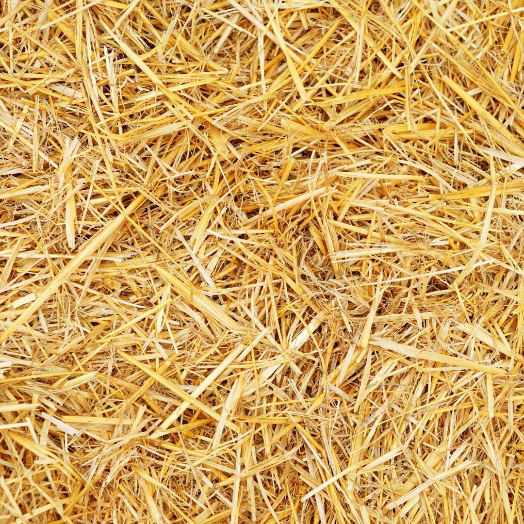 100% Natural Wheat Straw for Animal Bedding, Garden Mulch, Compost & Fertilizer, and Grass Cover (4 Pounds)