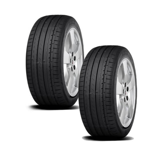 Paquete de 2 llantas 245/45R19