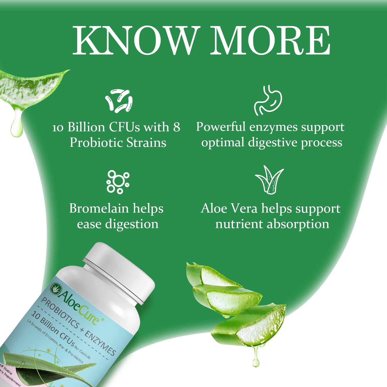 AloeCure Probiotics + Enzyme Capsules for Women's Digestive Health with 10 Billion CFU - Daily Aloe Supplement, Full Spectrum Probiotic + Prebiotic Supplement, Gut Support, Super Enzymes, 3 Bottles