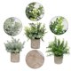 thumbnail image 3 of Flojery Mini Plantas En Maceta De Eucalipto Artificial, Boj, Romero, Hierbas Sintéticas, Pequeñas Plantas De Casa De 8.3 A 9 Pulgadas De Alto Para Interior Y Vegetación, Centro De Mesa D?Cor (Eucalipt, 3 of 5