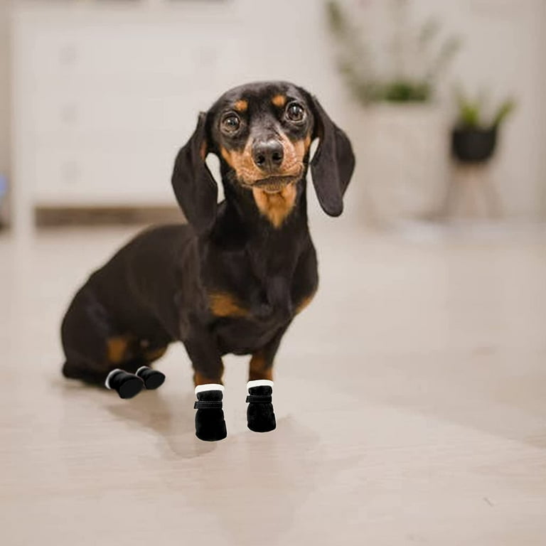 Siisll Dog Winter Boots Warm Winter Little Pet Dog Shoes Fleece