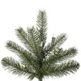 thumbnail image 3 of Vickerman 7.5' x 55" Kennedy Fir Tree with 650 Warm White Italian LED Lights, 3 of 3