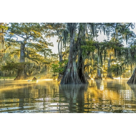 Usa Louisiana Lake Fausse Pointe State Park Is Located In Iberia