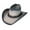 Silverbelly, variant on RESISTOL Grey Men's Western Hat, 7 1/8