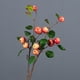 thumbnail image 3 of 1 rama/rojo especificaciones: aproximadamente 48 cm de largo 1 rama/5 frutas Ramas de frutas simuladas flores artificiales de plástico ANGGREK Otros, 3 of 8