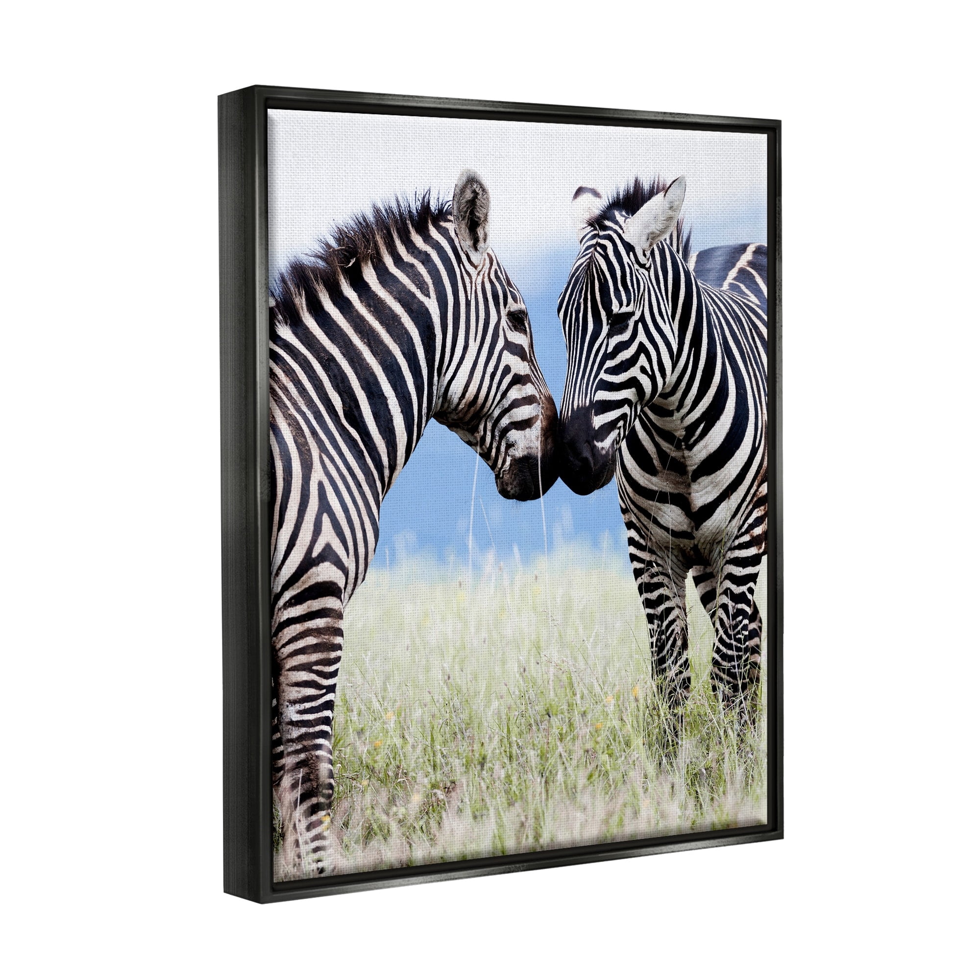 Stupell Industries Heartwarming Zebras Kissing in Field Animal Wildlife Photograph Jet Black Floating Framed Canvas Print Wall Art, Design by Danita Delimont
