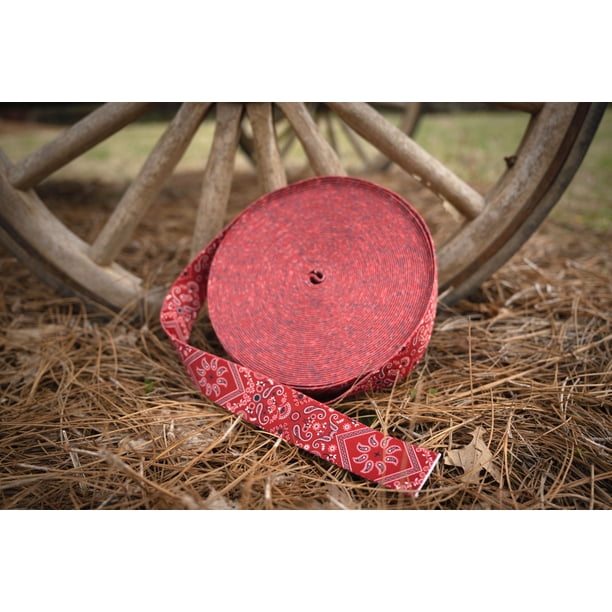 Country Brook Design® 1 Inch Red Bandana Polyester Webbing, 10