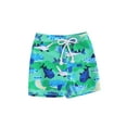 thumbnail image 2 of Musuos Toddler Boys Swim Trunks 6M 12M 18M 24M 3Y 4Y Shark Print Drawsting Swim Shorts Summer Short Pants Beach Wear, 2 of 10