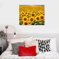 thumbnail image 4 of Nawypu  Canvas Print Wall Art Hundreds of Sunflowers in Field Floral Plants Photography Realism Contemporary Scenic Colorful Multicolor Ultra for Living Room, Bedroom, Office, 4 of 4