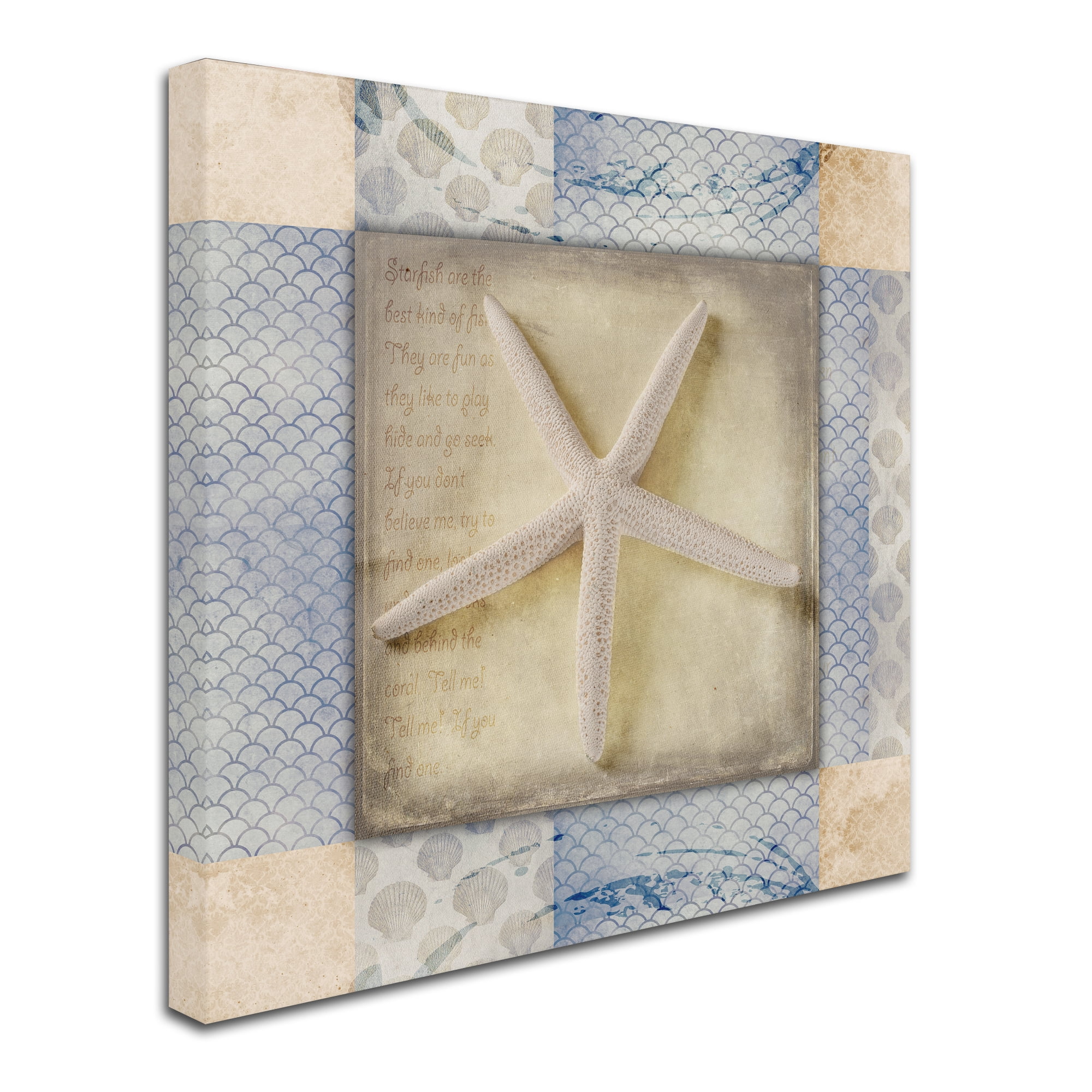 Trademark Fine Art 'White Sea Starfish' Canvas Art by LightBoxJournal