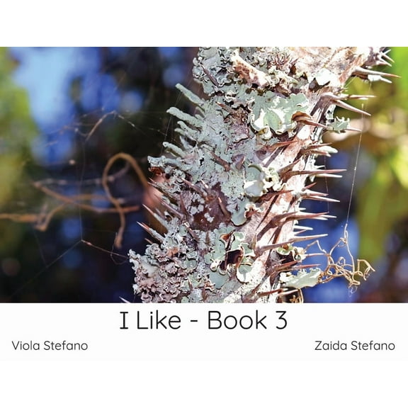 I Like: I Like - Book 3 (Paperback)