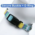 thumbnail image 5 of Pawtitas Multicolor Dog Collar Small Blue / White / Teal / Yellow, 5 of 7