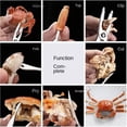 thumbnail image 6 of Seafood Tool Set Shrimp Pliers Spoon Crab Lobster Cracker Kitchen Multi Purpose, 6 of 6