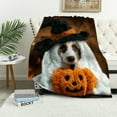 thumbnail image 4 of Creowell Fuzzy Fluffy Soft Cozy Blanket Dog Pumpkin Black Hat 40*50in, 4 of 7