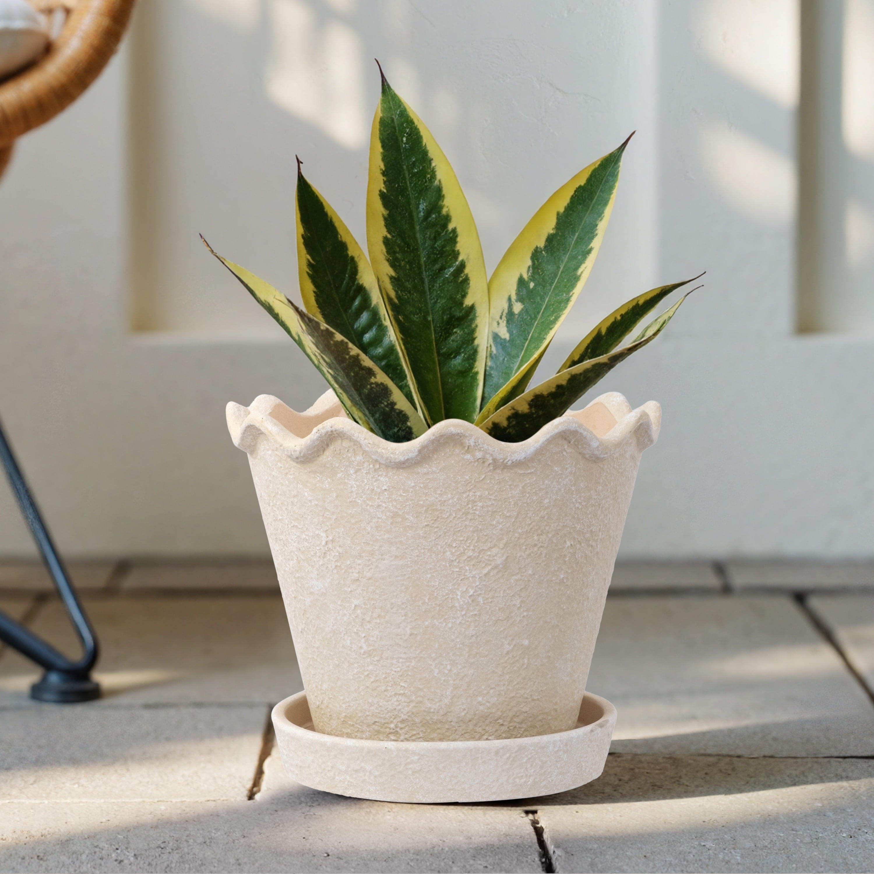 My Texas House Wave Ceramic Planter Pot, Cream, 8 inch
