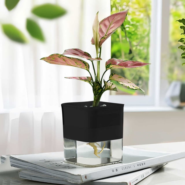 Transparent Self-Watering Planter Pot | Automatic Water Absorption Plant Container | Square Plastic Flowerpot with Drainage | Indoor Outdoor Decor | 1 Piece | Home Garden Balcony Tabletop