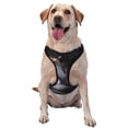 thumbnail image 1 of Fotbe Black Cobra Snake Arnés para Perro con Estampado –Chaleco Ajustable Acolchado con Asa de Control para Perros Grandes-Small, 1 of 6