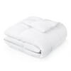 Malouf King Down Blend Comforter by Woven in White