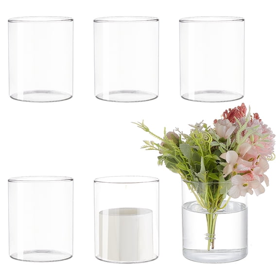 6 Pcs Glass Cylinder Vases 4 Inch (H) x 3.3 Inch(W) Clear Hydroponic Plant Bottles Modern Decorative Centerpieces Vases