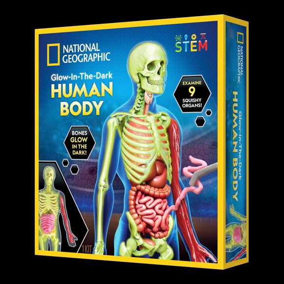 National Geographic Glow in the Dark Human Body