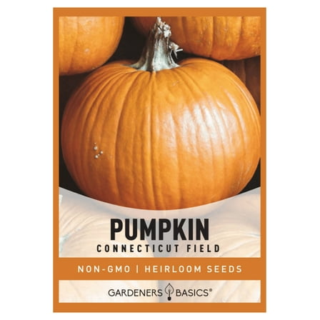 Connecticut Field Pumpkin Seeds