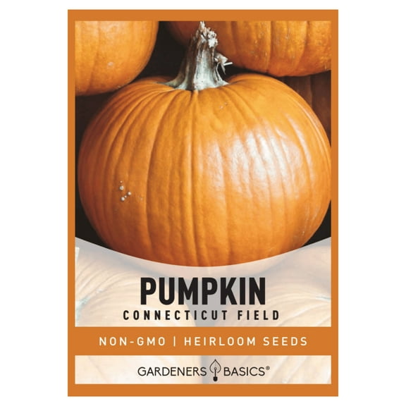 Connecticut Field Pumpkin Seeds
