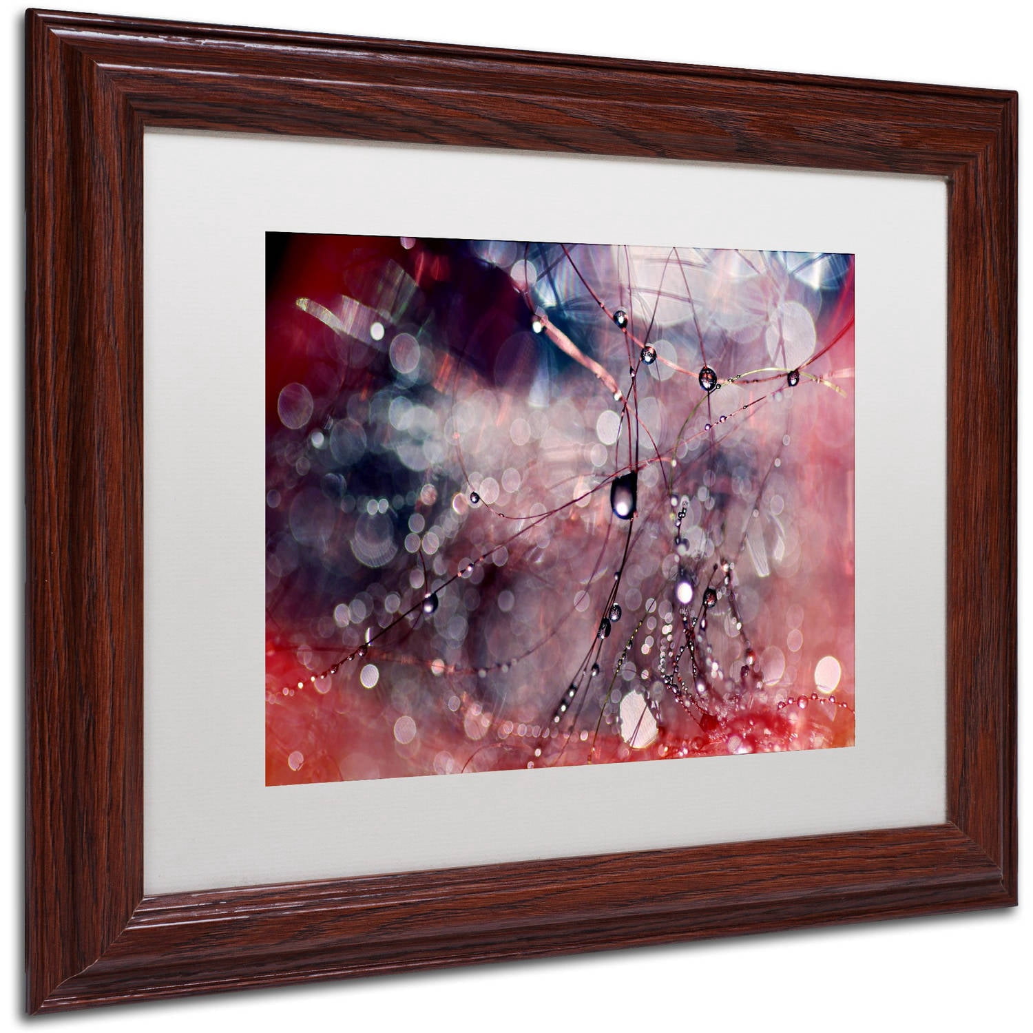 Trademark Fine Art "Outside the Box" Canvas Art by Beata Czyzowska Young, White Matte, Wood Frame