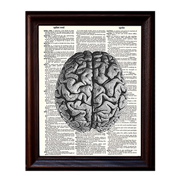 Anatomical Human Brain - Printed on Upcycled Vintage Dictionary Paper - 8"x11" Anatomy Art Poster/Print