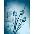 thumbnail image 3 of Koetsier, Albert 12x14 Black Modern Framed Museum Art Print Titled - Cerulean Dawn, 3 of 5