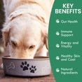 thumbnail image 2 of Canine Gut Biome Powder Hollistic Bin, 50 g, prebióticos y probióticos, 2 of 7