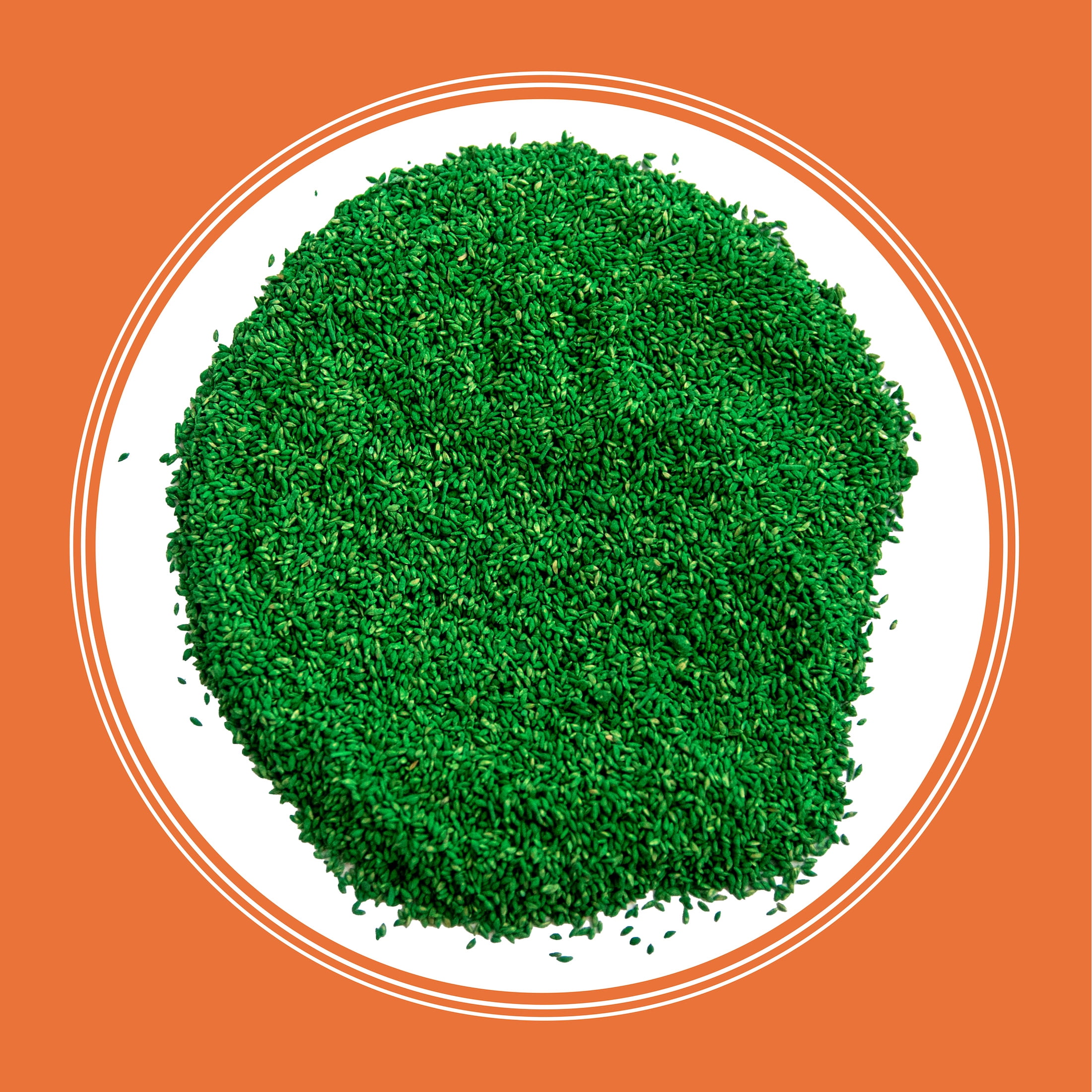 Pennington Bermudagrass NuMex Sahara Penkoted Grass Seed Unhulled 50lb
