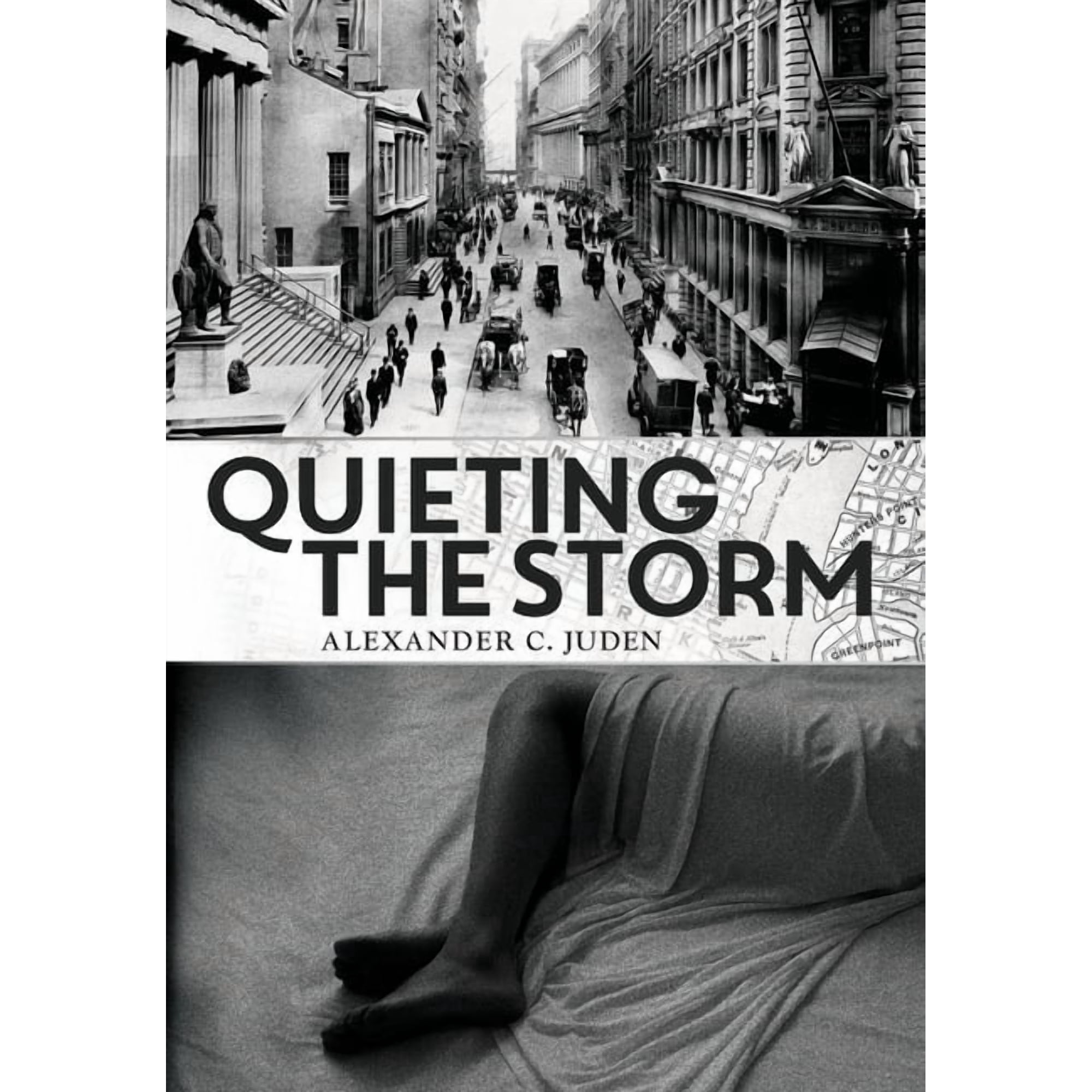 Quieting the Storm (Hardcover)