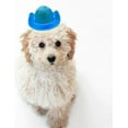thumbnail image 2 of Dog Cowboy Hat Cat Cowboy Hat Pet Cowboy Costume Mini Cowboy Hat for Dogs Cat Holiday Halloween Pet Party Decoration (Brown, Small), 2 of 10