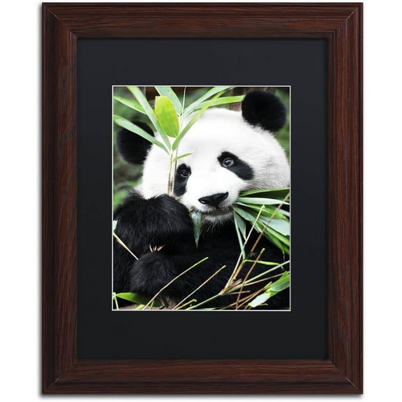 Trademark Fine Art "Giant Panda I" Canvas Art by Philippe Hugonnard, Black Matte, Wood Frame
