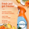 thumbnail image 3 of Air Mist Odor-Fighting Air Freshener - Hawaiian Aloha - 8.1oz: Disposable, Dye-Free, Phthalate-Free, 3 of 5