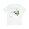 thumbnail image 2 of Haleiwa Co Faith T Shirt Bella Canvas Calla Lily Print Short Sleeve Tshirt, 2 of 12