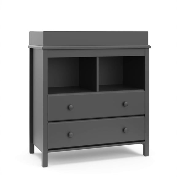 Pemberly Row 2-Drawer Engineered Wood Changing Chest in Gray